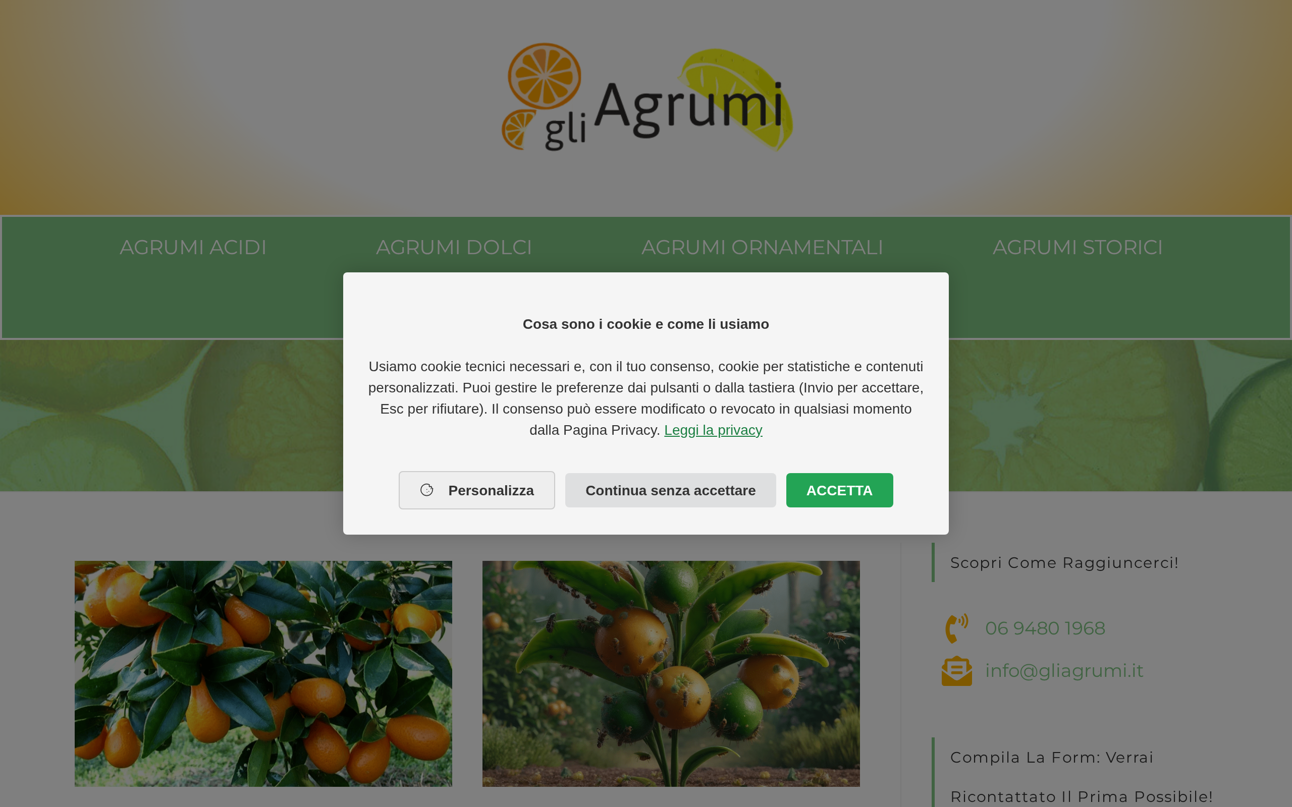 Anteprima del sito di gliagrumi.it